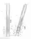 Fig. 06 - Downhole bypass tool