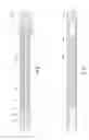 Fig. 08 - Method of using a downhole force generating tool