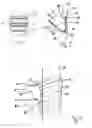 Fig. 02 - Bucket elevator with belt protected by the bucket section