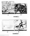 Fig. 04 - Production of BN-Composite Materials