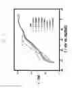 Fig. 05 - Polymeric film composition for non-enzymatic glucose sensor and non-enzymatic glucose sensor including the same