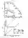 Fig. 07 - Polymeric film composition for non-enzymatic glucose sensor and non-enzymatic glucose sensor including the same