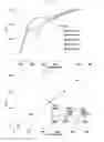 Fig. 08 - Polymeric film composition for non-enzymatic glucose sensor and non-enzymatic glucose sensor including the same