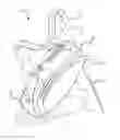 Fig. 01 - Golf bag