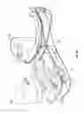 Fig. 22 - Ophthalmic surgical systems, methods, and devices