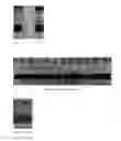 Fig. 08 - METHOD FOR REDUCING ACID IN HYDROCARBONS