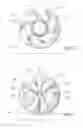 Fig. 07 - Swirl bell bottle with wavy ribs