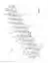 Fig. 02 - MUD SKID