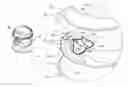 Fig. 01 - Hot beverage container lid-insert constructions