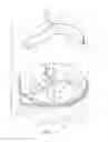 Fig. 11 - Multi-compartment container with a flexible partition