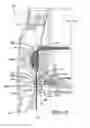 Fig. 07 - Shut-off system for a dispenser