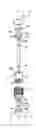 Fig. 01 - Dispenser for viscous products