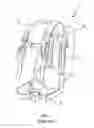 Fig. 02 - Adjustable lumbar support for mounting on a backpack and backpack having the same