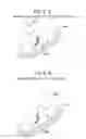 Fig. 06 - Charged particle beam apparatus