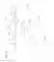 Fig. 06 - BIOGENIC ACTIVATED CARBON AND METHODS OF MAKING AND USING SAME