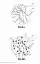 Fig. 02 - Composites incorporated a conductive polymer nanofiber network