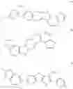Fig. 09 - Conjugated polymers