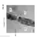 Fig. 08 - MANUFACTURABLE SUB-3 NANOMETER PALLADIUM GAP DEVICES FOR FIXED ELECTRODE TUNNELING RECOGNITION