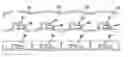 Fig. 01 - Leadless surface mount assembly package and method of manufacturing the same