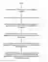 Fig. 01 - Method for forming recess-free interconnect structure