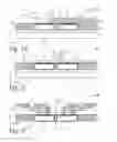 Fig. 03 - Embedded semiconductive chips in reconstituted wafers, and systems containing same