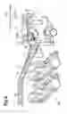 Fig. 07 - Image forming apparatus