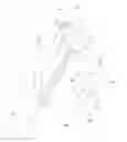 Fig. 01 - Snowboard accessory
