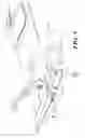 Fig. 06 - BICYCLE BRAKE SYSTEM
