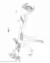 Fig. 05 - Front vehicle-body structure of vehicle