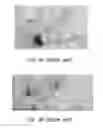 Fig. 03 - Ocean current power generating apparatus using dual-duct with boundary layer control effect