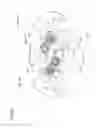 Fig. 26 - Door opening and closing apparatus