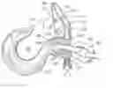 Fig. 01 - Clevis type hook with safety latch
