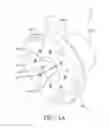 Fig. 02 - Hub clamp assembly