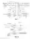 Fig. 02 - Power over data lines detection and classification scheme
