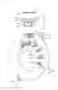 Fig. 04 - Connector For Motor and Connector Assembly For Motor