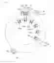 Fig. 08 - Connector For Motor and Connector Assembly For Motor