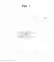 Fig. 02 - Methods and apparatus to detect and warn proximate entities of interest