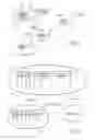 Fig. 03 - Device for protecting a commercial article against theft