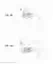 Fig. 05 - Methods and apparatus to detect and warn proximate entities of interest