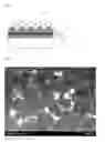 Fig. 02 - Substrate with transparent electrode, method for manufacturing same, and touch panel