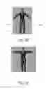 Fig. 08 - Automatic Generation of 3D Character Animation from 3D Meshes
