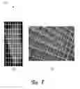 Fig. 09 - Texture Modeling of Image Data