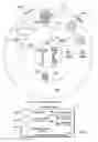 Fig. 03 - Dynamic visualization for optimization processes