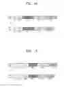 Fig. 09 - Compression device and compression method