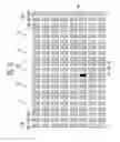 Fig. 04 - Organic light emitting display device