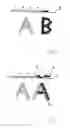 Fig. 05 - Method and device for providing a substrate with an imprint and with a transfer coating, and finished substrate