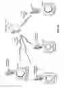 Fig. 14 - EXCHANGING PORTIONS OF A VIDEO STREAM VIA DIFFERENT LINKS DURING A COMMUNICATION SESSION