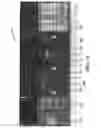 Fig. 04 - MULTI FIELD-OF-VIEW MULTI SENSOR ELECTRO-OPTICAL FUSION-ZOOM CAMERA
