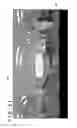 Fig. 29 - Image capturing device and image capturing method