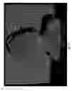 Fig. 06 - Use of spatially structured light for dynamic three dimensional reconstruction and reality augmentation